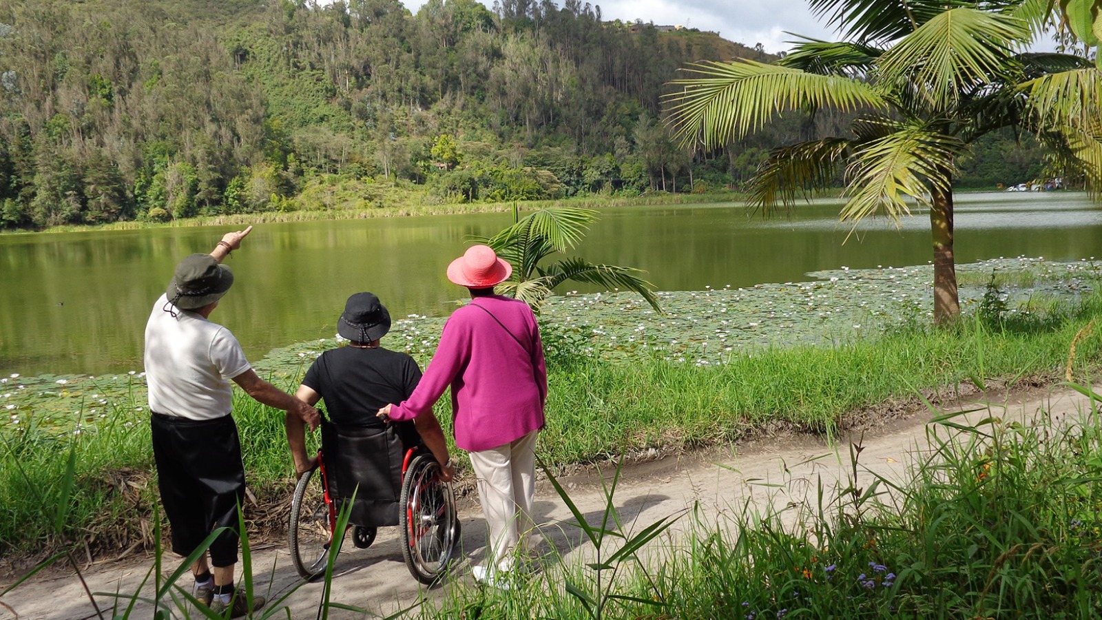 VIDA EN  ARMONÍA  PERSONAS CON DISCAPACIDAD